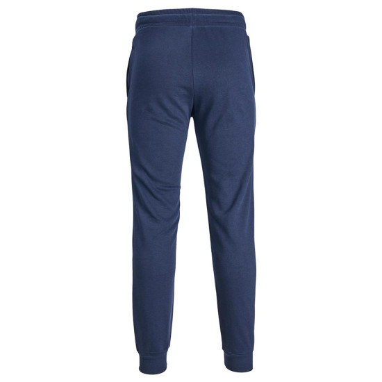 Jack & Jones Ανδρικό παντελόνι φόρμας